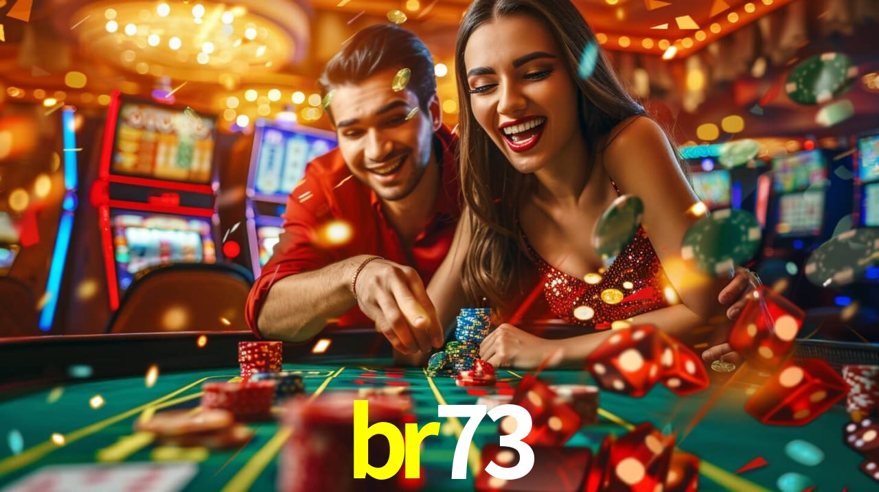 br73 - Customer Support